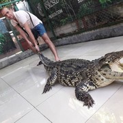  ,   , 33 ,   ,   , c 