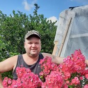 ���������� ���������, ���� ������� ���������, 43 ����, ������������ ��� ������, ����� � ���������, c�������� ���������