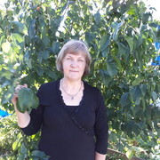  ,   , 65 ,   ,   , c 