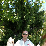  ,   , 49 ,   