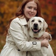 ���������� ���������, ��������