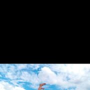 ���������� �������, ���� ������� ������, 27 ���, ������������ ��� ������, ����� � ���������, c�������� ���������, ���������