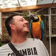  ,   , 45 ,   ,   , c , 
