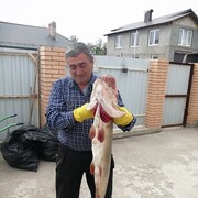  ,   , 64 ,   ,   