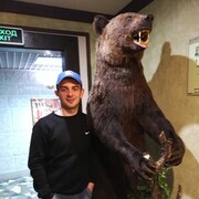 ���������� ������������, ���� ������� ������, 33 ����, ������������ 