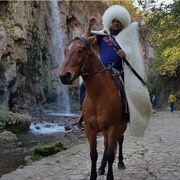 ���������� �����-���������, ���� ������� �����, 40 ���, ������������ ��� ������, ����� � ���������