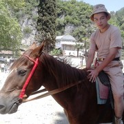  -,   , 31 ,   ,   , c 