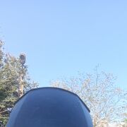 ���������� ������, ���� ������� ���������, 42 ����, ������������ ��� ����� � ���������, c�������� ���������