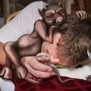  ,   Ignat, 32 ,   ,   