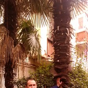 ���������� ����, ���� ������� ����, 40 ���, ������������ 