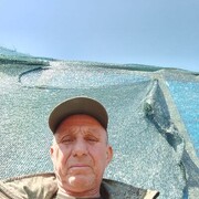  ,   , 63 ,   ,   