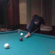 ���������� ������, ���� ������� ARTUR555, 40 ���, ������������ ��� ������