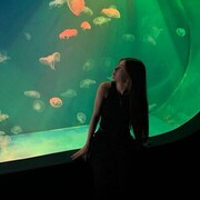 ���������� ���������, ���� ������� �����, 24 ����, ������������ ��� ������, ����� � ���������