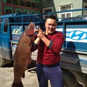 ���������� ������, ���� ������� Nurik, 32 ����, ������������ ��� ������, ����� � ���������, c�������� ���������