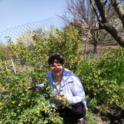  ,   , 50 ,   ,   , c 