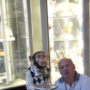  ,   , 55 ,   
