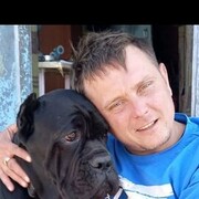  -,   , 35 ,   