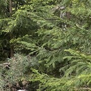  ,   , 59 ,   ,   , c 