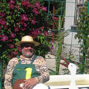 ���������� ������, ���� ������� ������, 78 ���, ������������ ��� ������