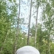 ���������� �������, ���� ������� ������, 38 ���, ������������ ��� ������, ����� � ���������