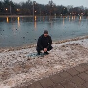 ���������� ������, ���� ������� ������, 39 ���, ������������ ��� ����� � ���������, c�������� ���������