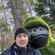 ���������� �����������, ���� ������� ���������, 39 ���, ������������ ��� c�������� ���������