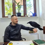 ���������� ������, ���� ������� ������, 45 ���, ������������ ��� ������, ����� � ���������, c�������� ���������