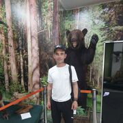 ���������� ����, ���� ������� �����, 33 ����, ������������ ��� ������, ����� � ���������