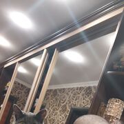  ,   NDREII, 42 ,   ,   
