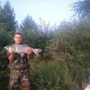 ���������� �������, ���� ������� ����, 36 ���, ������������ ��� ������