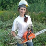 ���������� �������, �����