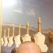 ���������� ������, ���� ������� �������, 49 ���, ������������ ��� ������, ����� � ���������, c�������� ���������, ���������