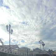 ���������� ��������, ���� ������� ���������, 40 ���, ������������ ��� ������, ����� � ���������