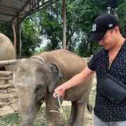 ���������� ������, ���� ������� �����, 36 ���, ������������ ��� ����� � ���������, c�������� ���������, ���������