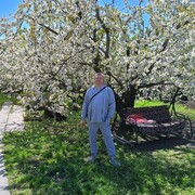 ���������� ������, ���� ������� �������, 40 ���, ������������ ��� ����� � ���������, c�������� ���������