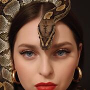 ���������� �������, ���� ������� ���������, 29 ���, ������������ ��� ����� � ���������, c�������� ���������