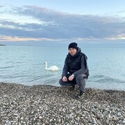 ���������� �����������, ���� ������� ������, 38 ���, ������������ ��� ����� � ���������, c�������� ���������