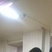 ���������� ����, ���� ������� ����, 33 ����, ������������ ��� ������, ����� � ���������, c�������� ���������