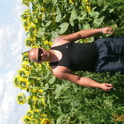  ,   MAX, 38 ,   ,   , c 