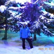  -,   , 54 ,   ,   , c 