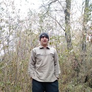  ,   , 33 ,  