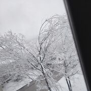  ,  , 27