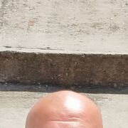 ���������� ���������, ���� ������� ����, 48 ���, ������������ ��� ������, ����� � ���������