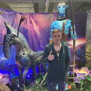 ���������� ������, ���� ������� ����, 37 ���, ������������ ��� ������, ����� � ���������