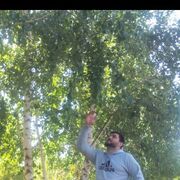  ,   Elvis, 35 ,   ,   