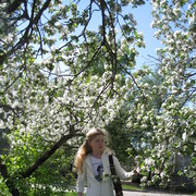 ���������� ������ ��������, ���� ������� ������, 36 ���, ������������ ��� ������, ����� � ���������, c�������� ���������