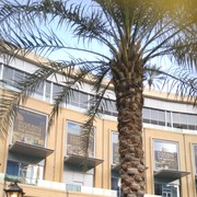 ���������� ������� �����, ���� ������� ���������, 56 ���, ������������ ��� ������, ����� � ���������, c�������� ���������