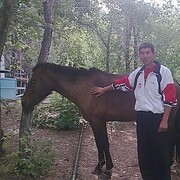  ,   , 45 ,   ,   , c 