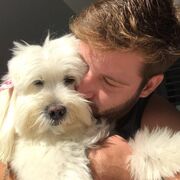  ,   , 35 ,   ,   , c , 