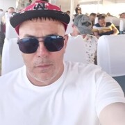  ,   , 49 ,     